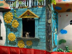 -哈尔滨北方森林动物园