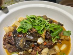 -味派菜园子(华章保利拾光荟店)