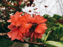 -昆山城市生态森林公园