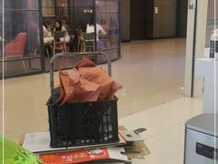 -Salud撒露欧洲冻酸奶(蓝色港湾店)