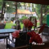  仿佛来到绍兴酒馆🍶遇见鲁迅在写少年润土  