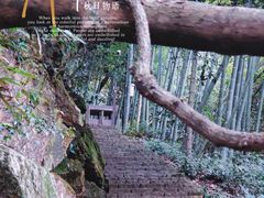 -莫干山风景区