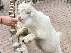 -水上乐园·欢乐世界