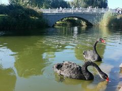-河北省园博园