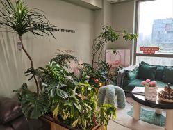 -Lumi露米·美甲美睫品质店