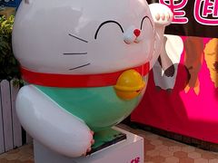 -猫咪博物馆(顶澳仔猫街店)