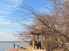 -丁香湖公园