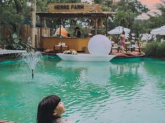 -HERRE·FARM 赫尔露营农场·团建聚会包场