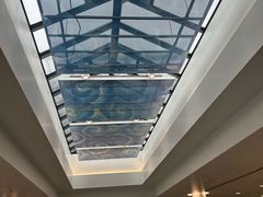 -龙阳路磁悬浮列车总站-停车场