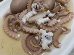 章鱼-江洋霞浦海鲜