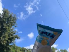 -揭东万竹园旅游景区