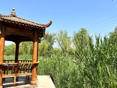 -太阳宫公园