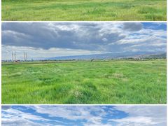 -敕勒川草原