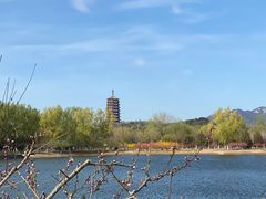 -永定河休闲森林公园