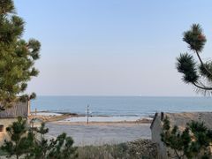 -日照海滨国家森林公园