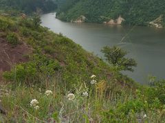 -西拉沐沦大峡谷园区