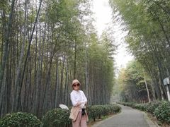 -游子山休闲旅游区