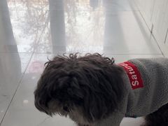 -纳吉亚猫专科动物诊疗中心(蒋宅口分院)