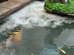 -觀芷隐轩