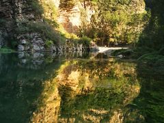 -六里坪国家森林公园