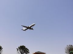 -空港花田景区