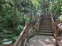 -大岭沟猕猴桃谷风景区