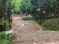 -娄山关景区