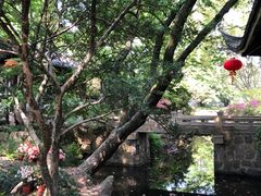 -上海醉白池公园
