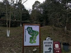 -都江堰中华大熊猫苑