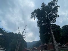 -灵光寺