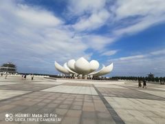 -呼兰河口湿地公园