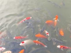 -南阳卧龙岗武侯祠