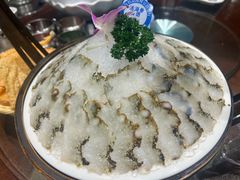 活海参-东海怡品海鲜豆捞(舟宿夜江店)