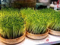 -千稻剁椒大鱼头(CityOn熙地港店)