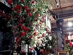 大堂-范设计花园餐酒咖·中西餐·咖啡厅·酒馆