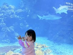 -南昌融创海世界