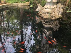 -紫金山天文台