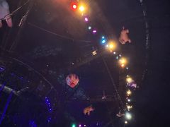 -广州长隆国际大马戏