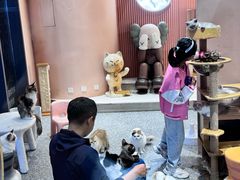 -囡的喵喵酱·萌宠生活馆·宠物洗护美容(胶州路店)