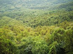 -照金香山旅游景区