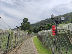 -南沙蒲洲花园