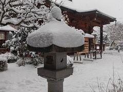 -医王山·飞騨国分寺