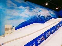 -Mr·Kuma酷么先生雪之乐园