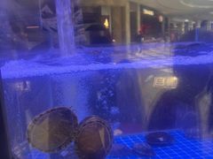 -喜记顺德菜(南昌万象城店)