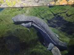 -珠海长隆海洋王国