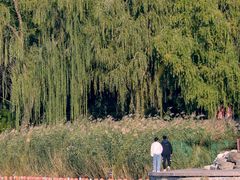 -陶然亭公园