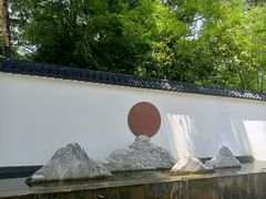 -金山植物公园