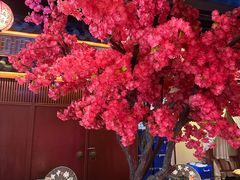 -探花·意境江南菜·唐伯虎文化体验店·松鼠桂鱼(观前店)