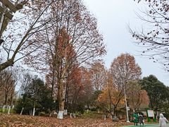 -观山湖公园