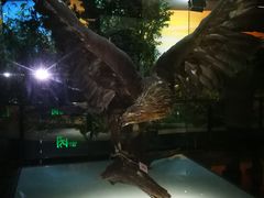 -陕西自然博物馆